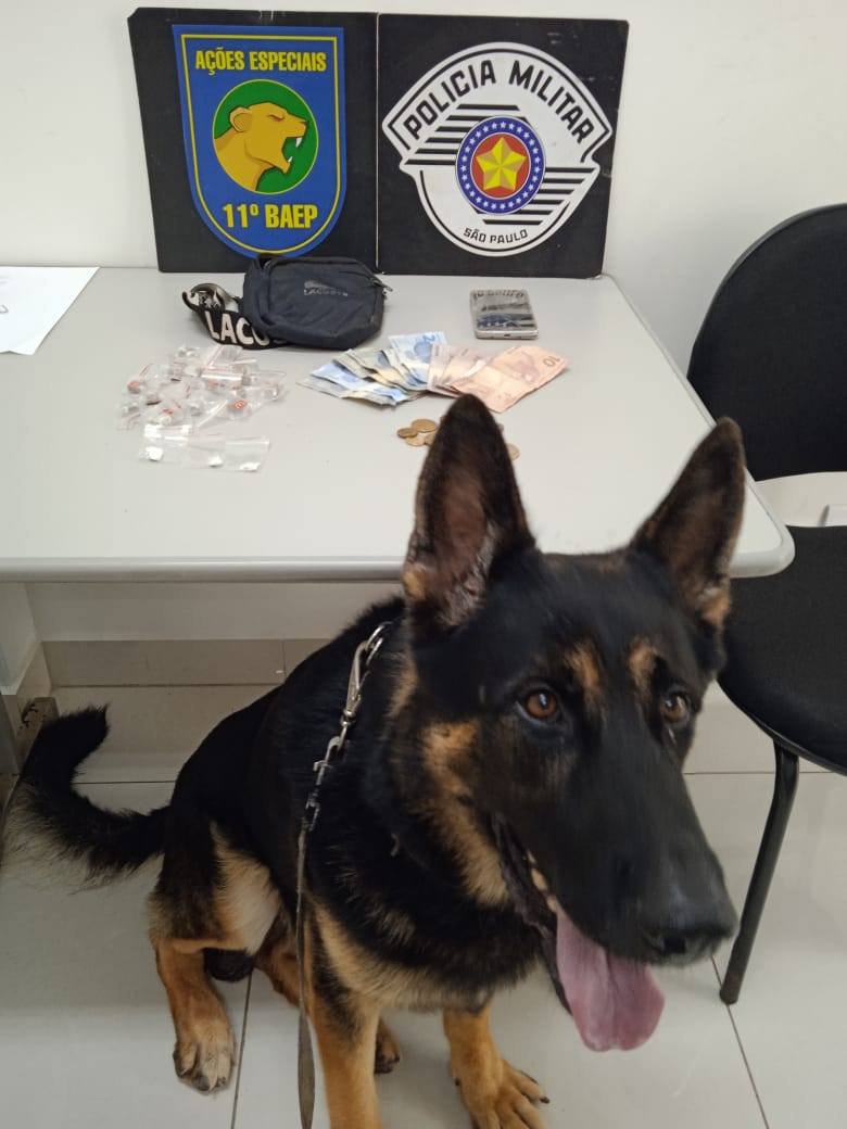 Drogas apreendidas com o auxílio do cão Aslan